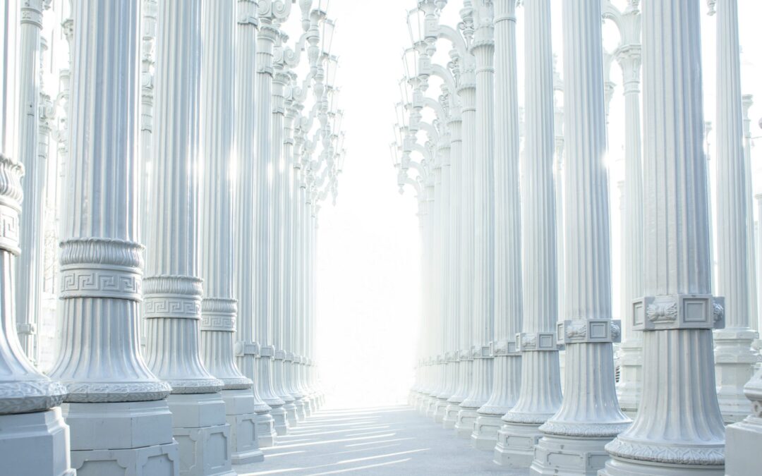 Understanding Employment Law: A Guide for Illinois Employers